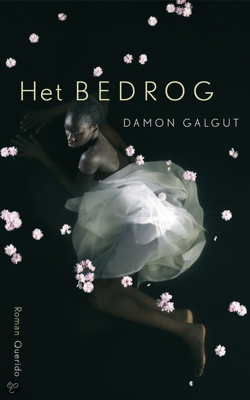 Damon Galgut - Het Bedrog